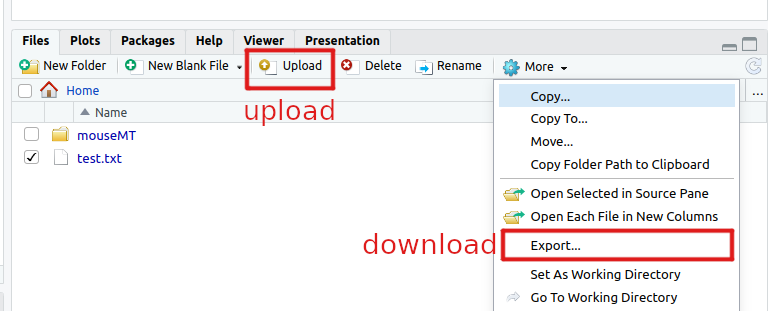 a view of Rstudio's interface for download and upload