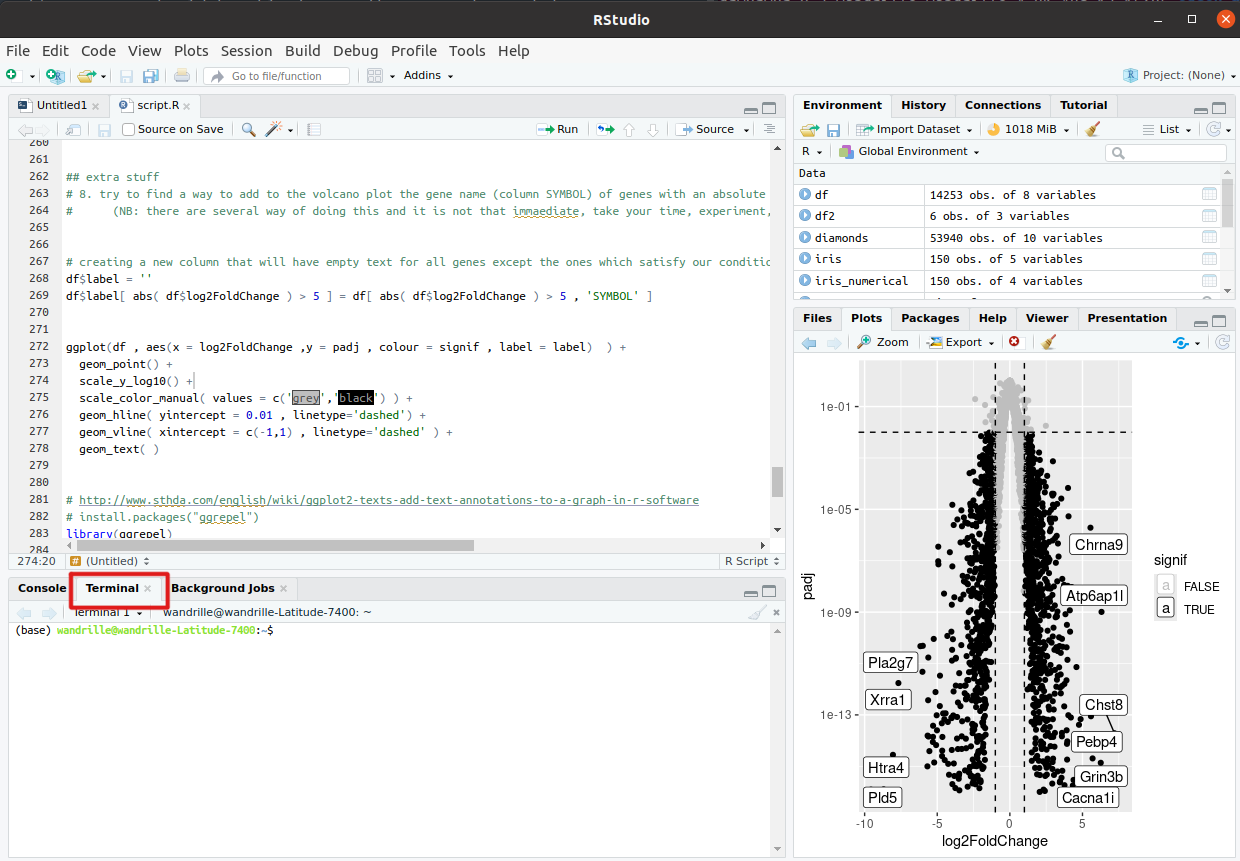 a view of Rstudio's terminal