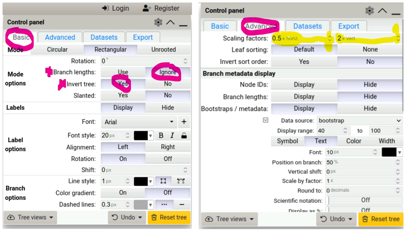 Gene-Tree-Species-Tree Reconciliation - Biodiversity bioinformatics