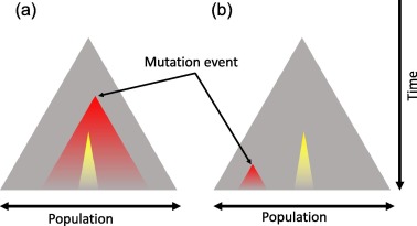 Somatic mutations create masaicism