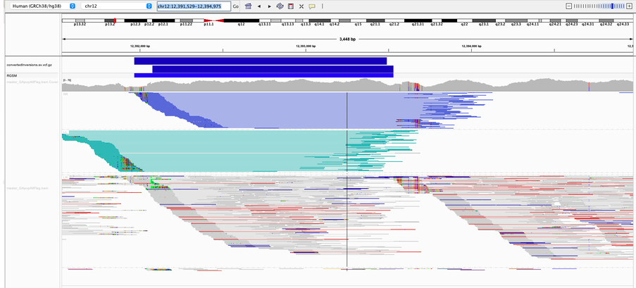 IGV showing structural variant
