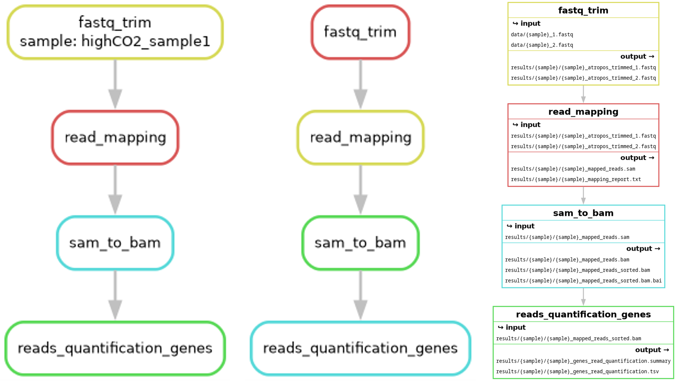 backbone_rulegraph